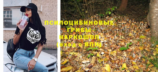 спиды Лиски